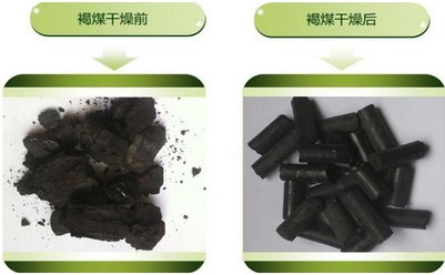 褐煤干燥前后對比圖