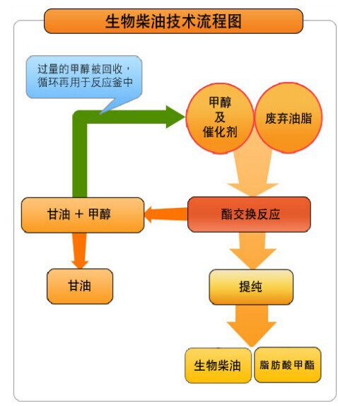 生物柴油技術(shù)流程圖.jpg