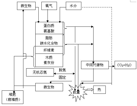 堆肥(發(fā)酵)機理圖.jpg