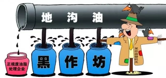 餐廚垃圾隨意處置危害大.jpg
